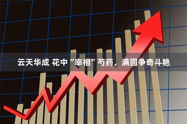 云天华成 花中“宰相”芍药，满园争奇斗艳